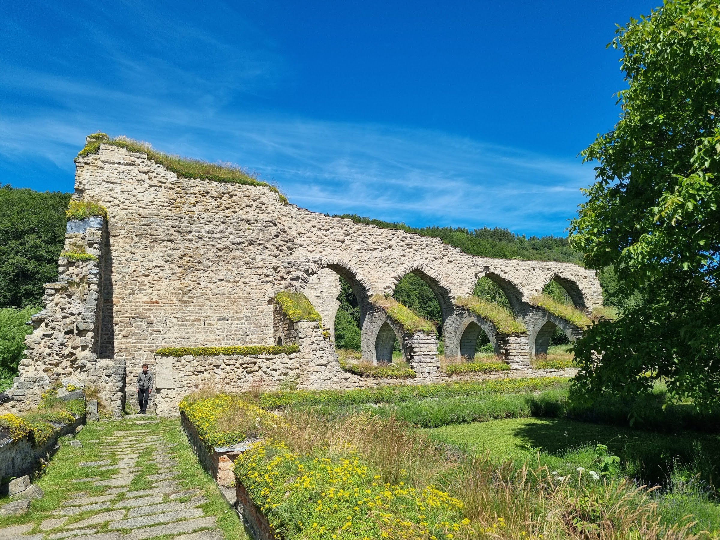 Alvastra Monastery (Alvastra klosterruin)